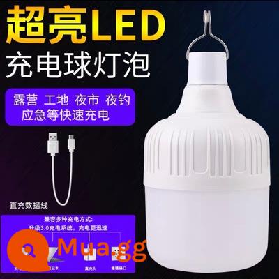 Sạc bóng đèn LED, ánh sáng khẩn cấp mất điện - 580W [Sáng và công suất lớn] Sử dụng khoảng 5 giờ và đi kèm cáp sạc 58W