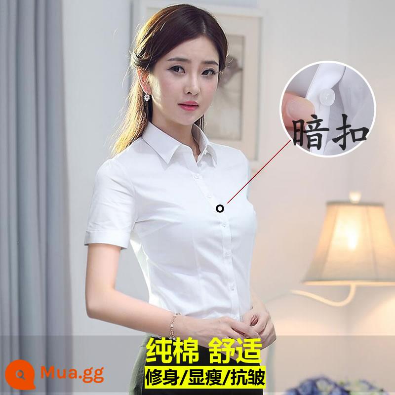 Áo sơ mi trắng cotton nguyên chất chất lượng cao dành cho nữ dài tay khí chất chuyên nghiệp quần áo làm việc mùa xuân và mùa hè trang phục công sở áo sơ mi nữ - Trắng [cotton ngắn tay]