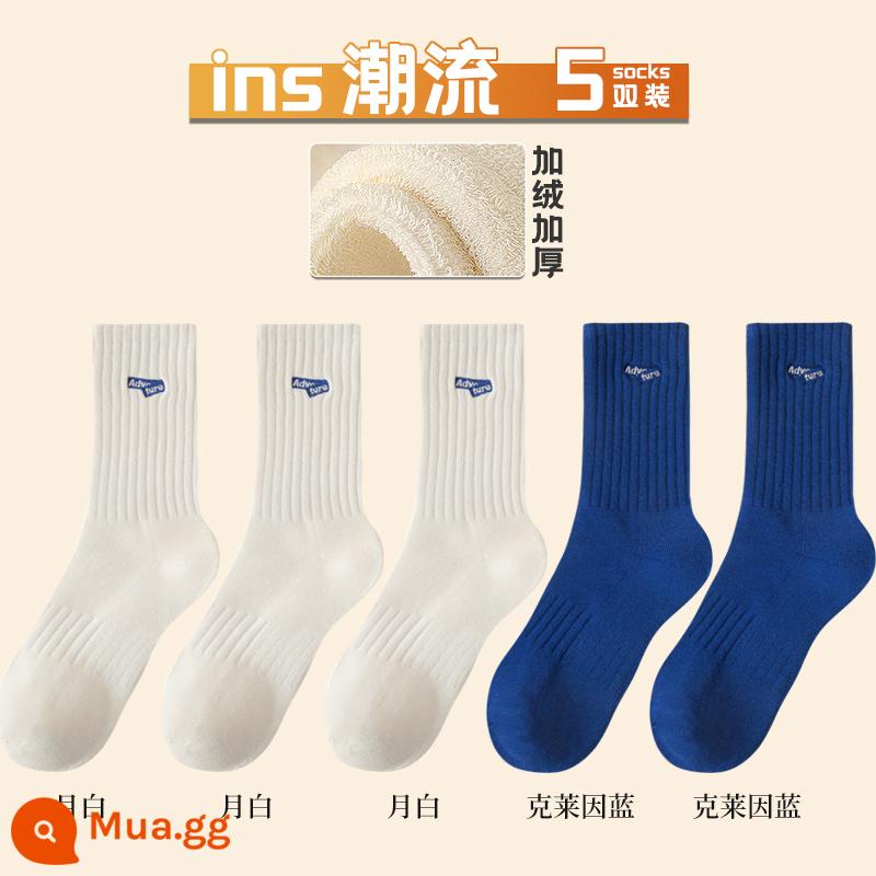 Vớ nam cotton nguyên chất giữa ống mùa đông Plus nhung dày vớ cotton khử mùi thấm hút mồ hôi thu đông thể thao bé trai vớ dài - [5 đôi] Combo G