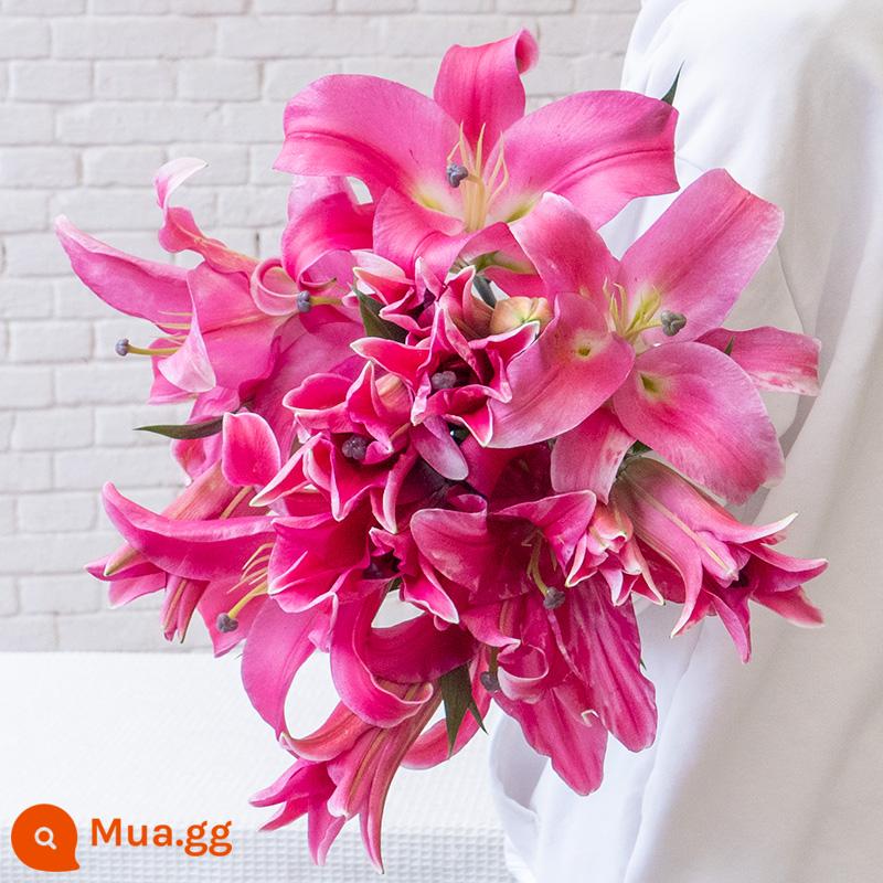 Vân Nam Đế Hoa Tóc Thẳng Nước Hoa Lily Tươi Cắt Hoa Hoa Thật Hoa Hướng Dương Hoa Hồng Nhà Bình Thủy Canh - 10 hoa loa kèn Robin