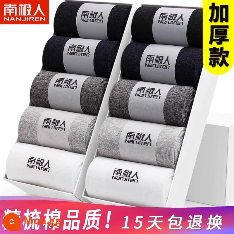 Tất Nam Cực Đến Giữa Bắp Chân Nam Phong Cách Mùa Xuân Cotton Nguyên Chất Thấm Hút Mồ Hôi Thoáng Khí Mỏng Màu Đen Công Sở Tất Dài Và Ngắn Mùa Hè - Màu sắc hỗn hợp kiểu ống giữa * 10 [kiểu mùa thu và mùa đông]