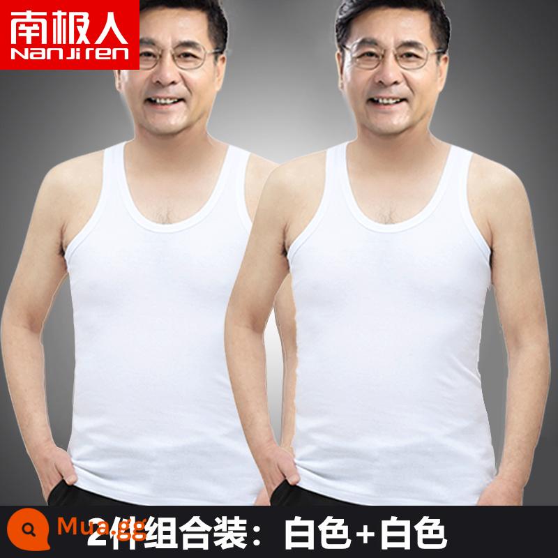 Bông đàn ông nam Vest nam Cotton Cotton Pure vào mùa hè làm tăng áo sơ mi mồ hôi lớn tuổi của người già và mặc áo sơ mi già tầng hầm - Hai gói (trắng + trắng)