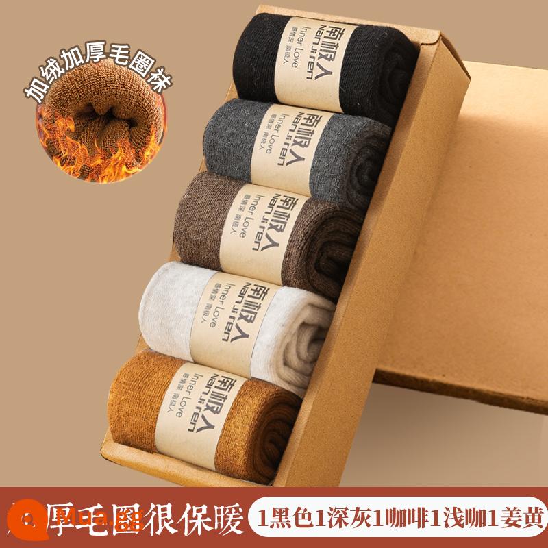 Vớ Nam Cực Mùa thu và vớ len mùa thu, vớ cotton ấm, sàn nhà, vớ với vớ dày nhung - [Tất terry dày 5 đôi] 1 đen 1 xám đậm 1 cà phê 1 cà phê nhạt 1 củ nghệ