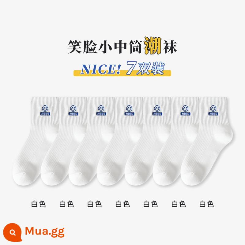 Tất Nam Cực mùa xuân hè nam cotton nguyên chất đến giữa bắp chân phong cách thể thao tất hợp thời trang dành cho bé trai vớ cotton khử mùi và thấm mồ hôi - [Tất thời trang 7 đôi] Trắng 7