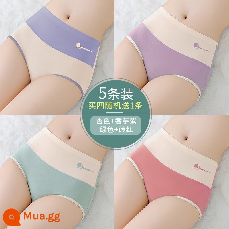 Quần Lót Nữ Nữ Cotton Nguyên Chất Liền Mạch Cotton Thoáng Khí Đáy Quần Kháng Khuẩn Quần Lót Nữ Giữa Eo Mới 2023 Thời Trang Phổ Biến - Nhóm E - mơ + tím khoai môn + xanh + đỏ gạch + tặng 1 miếng cùng kiểu (5 miếng)