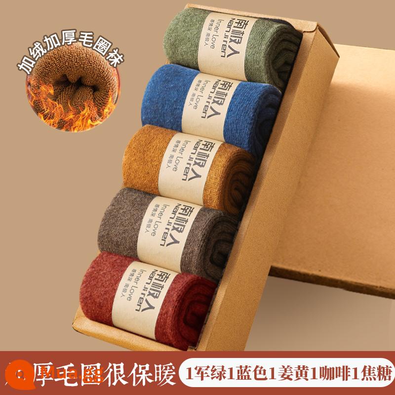 Vớ Nam Cực Mùa thu và vớ len mùa thu, vớ cotton ấm, sàn nhà, vớ với vớ dày nhung - [Gói 5 đôi tất terry dày] 1 xanh quân đội, 1 xanh lam, 1 nghệ, 1 cà phê, 1 caramen