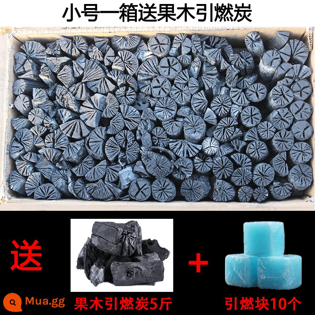 Than hoa cúc nướng than trái cây than nướng carbon không khói than củi chống cháy gỗ thương mại than nướng hộp lớn đặc biệt - Thùng than hoa cúc nhỏ (21kg) tặng kèm 5kg than hoa quả đốt + 10 khối nhỏ màu xanh