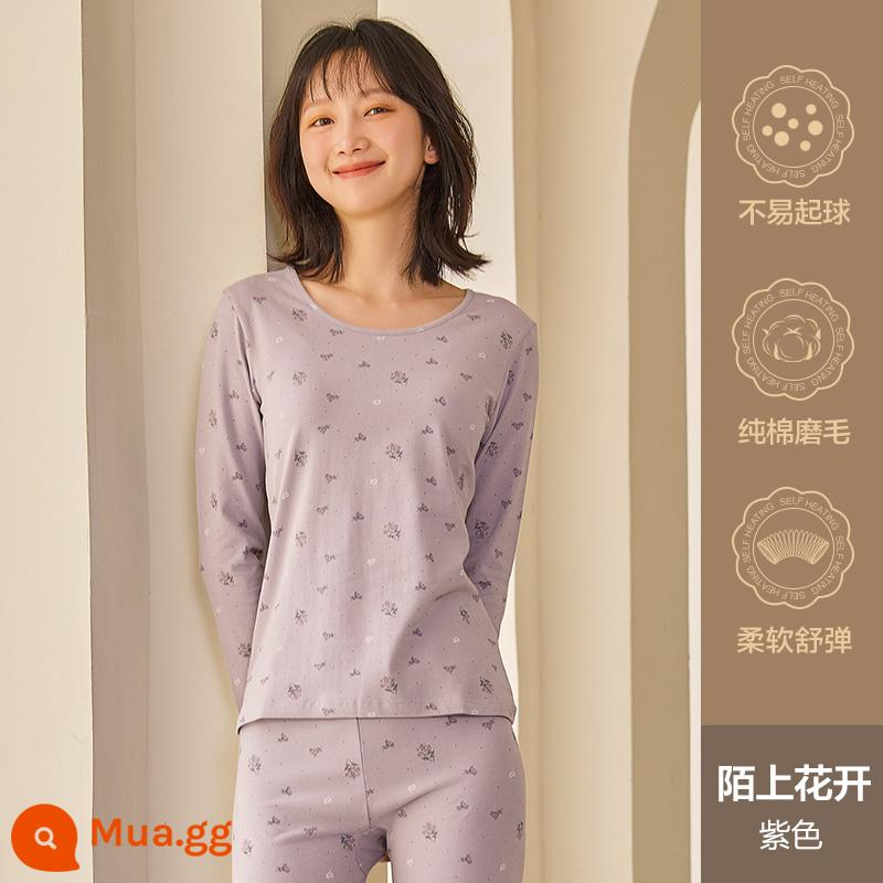 Hengyuanxiang quần áo mùa thu vệ sinh quần nữ cotton nguyên chất phù hợp với sưởi ấm quần áo cô gái học sinh đáy áo len cotton mỏng phần mùa đông - Hoa nở ven đường (tím)