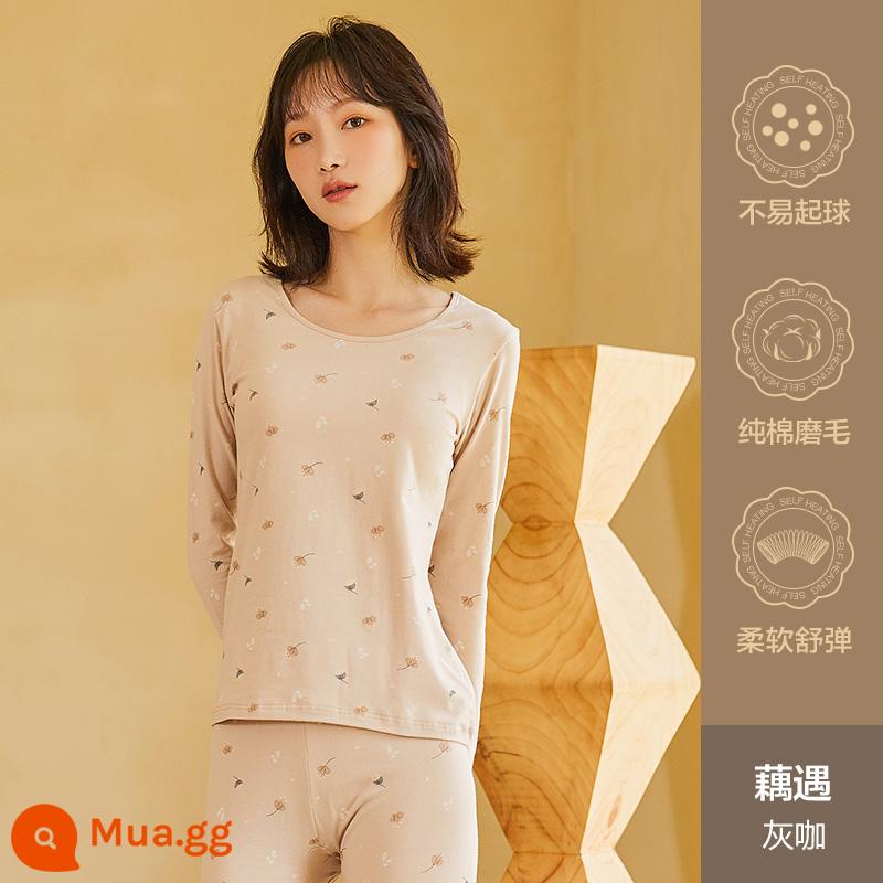 Hengyuanxiang quần áo mùa thu vệ sinh quần nữ cotton nguyên chất phù hợp với sưởi ấm quần áo cô gái học sinh đáy áo len cotton mỏng phần mùa đông - Ouyu (cà phê xám)