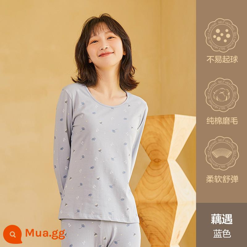 Hengyuanxiang quần áo mùa thu vệ sinh quần nữ cotton nguyên chất phù hợp với sưởi ấm quần áo cô gái học sinh đáy áo len cotton mỏng phần mùa đông - Ouyu (màu xanh)