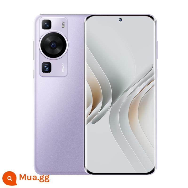 Huawei/Huawei P60 - Lông tím