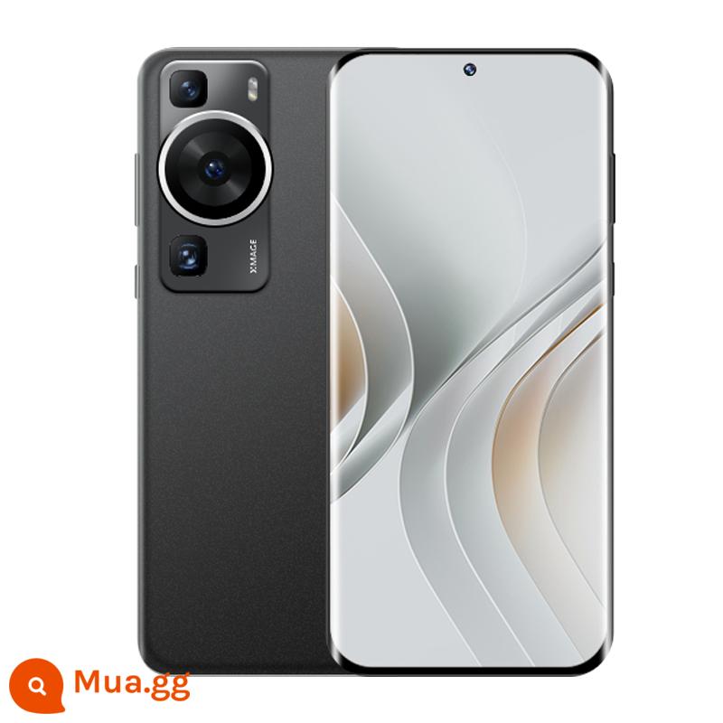 Huawei/Huawei P60 - Lông đen