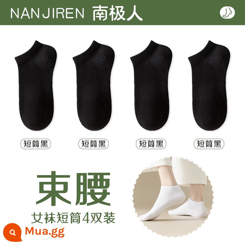 Tất nữ Tất dài đến bắp chân nữ mùa xuân thu đông Tất cotton nguyên chất không xương Tất thể thao mùa hè Tất ngắn nữ màu trắng nam - [Nòng ngắn] 4 màu đen