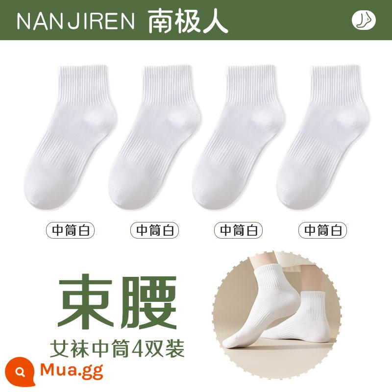 Tất nữ Tất dài đến bắp chân nữ mùa xuân thu đông Tất cotton nguyên chất không xương Tất thể thao mùa hè Tất ngắn nữ màu trắng nam - [Ống giữa] 4 màu trắng