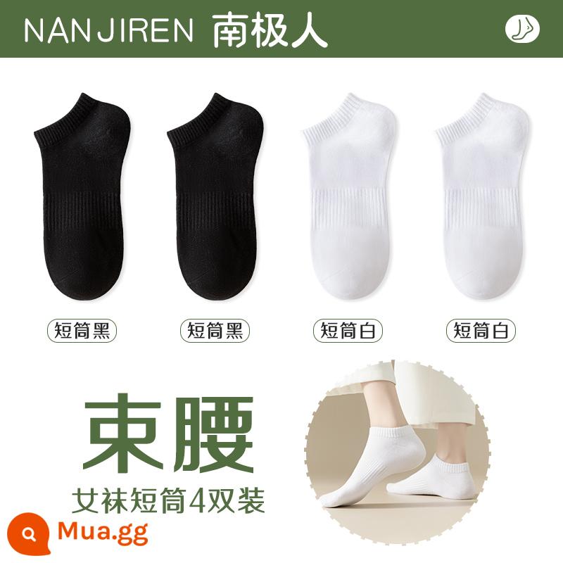 Tất nữ Tất dài đến bắp chân nữ mùa xuân thu đông Tất cotton nguyên chất không xương Tất thể thao mùa hè Tất ngắn nữ màu trắng nam - [Nòng ngắn] 2 đen + 2 trắng