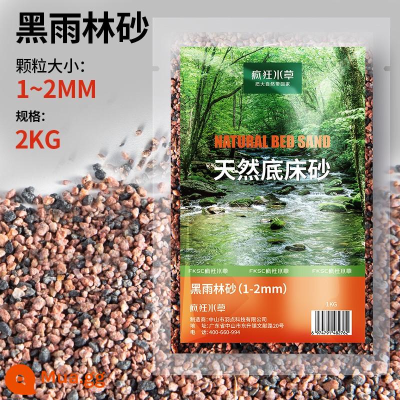 Đá đáy núi lửa cát bể cá đá trang trí cảnh quan bể rùa cát sàn hạt vật liệu lọc nước đặc biệt cỏ bùn đá núi lửa - Cát rừng mưa đen (1-2mm) 2kg