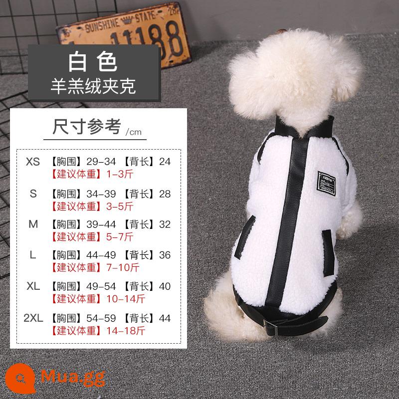 Quần Áo Cho Chó Mùa Thu Đông Bông Bichon Pomeranian Chó Nhỏ Thú Cưng Chó Con Chống Rụng Lông Mùa Đông Ấm Áp Áo Khoác Cotton - Áo khoác len cừu chắp vá màu trắng