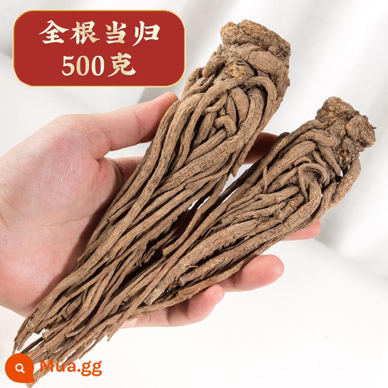 Danggui Minxian Angelica toàn bộ rễ 500g Cam Túc Dược liệu Trung Quốc hoang dã loại đặc biệt chính hãng viên Danggui Astragalus Codonopsis - Rễ cây bạch chỉ 500g