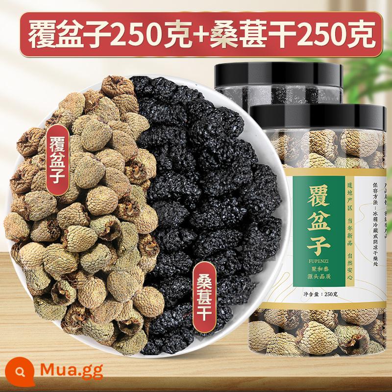 Raspberry Thuốc thảo dược Trung Quốc siêu xác thực với Cistanche Eucommia hoang dã Cuscuta Tinh dịch Shayuanzi Goji Berry Dogwood - [Chọn] Quả mâm xôi 250g + Dâu tằm khô 250g