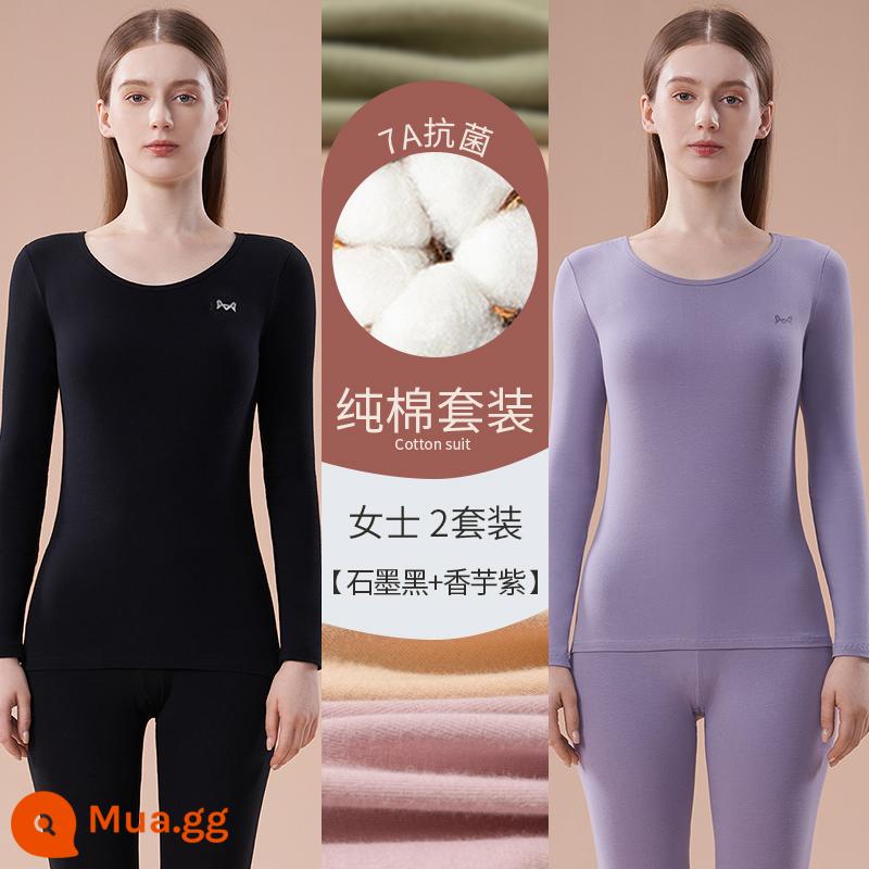 Catman Quần áo làm nóng bằng cotton nguyên chất Áo len cotton nữ có đáy bên trong Mặc quần áo mùa thu Bộ quần vệ sinh Phần mỏng kháng khuẩn mùa đông cho nữ - Than chì đen + tím khoai môn