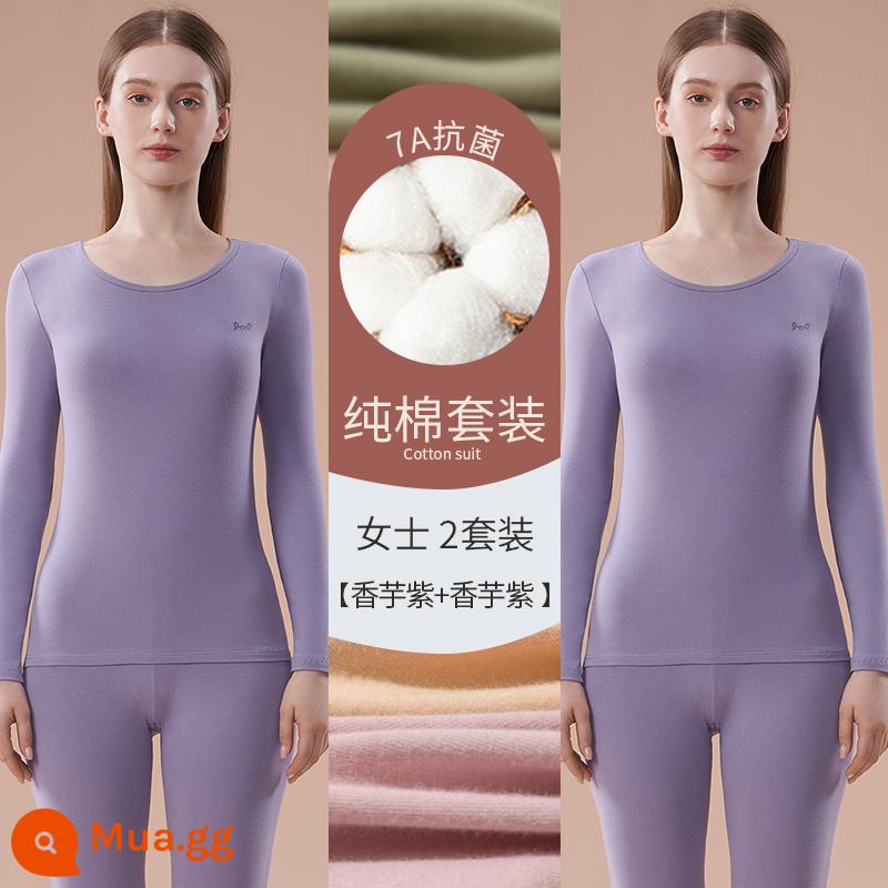 Catman Quần áo làm nóng bằng cotton nguyên chất Áo len cotton nữ có đáy bên trong Mặc quần áo mùa thu Bộ quần vệ sinh Phần mỏng kháng khuẩn mùa đông cho nữ - khoai môn tím + khoai môn tím