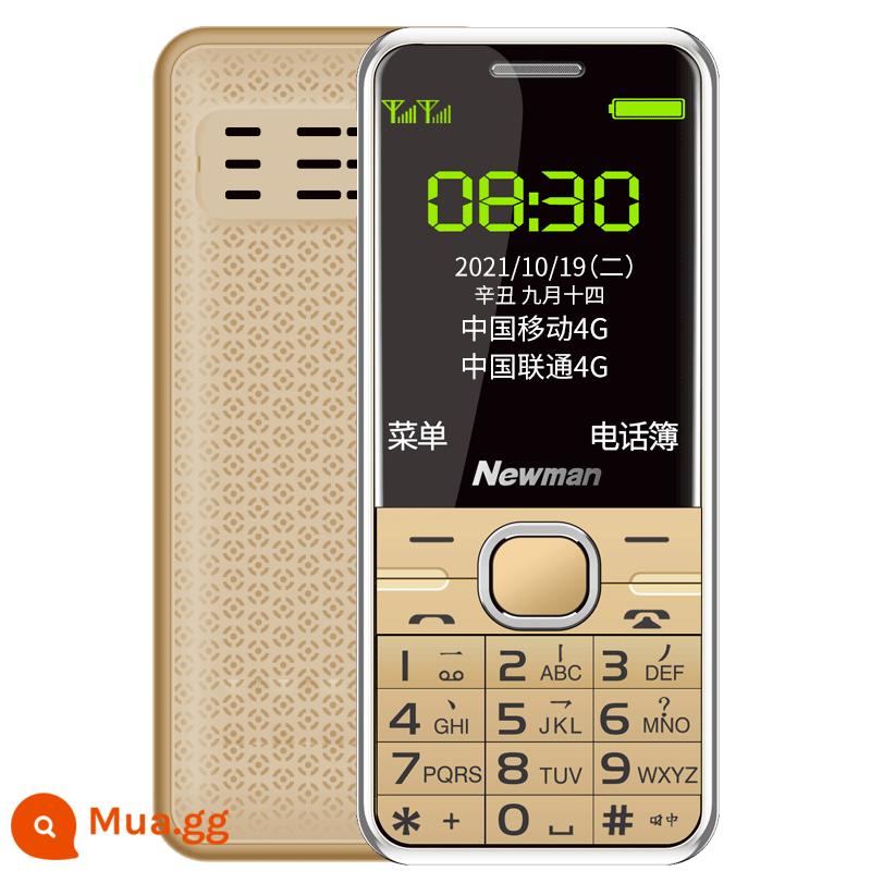 Newman M560C Chính Hãng 4G Full Netcom Phiên Bản Viễn Thông Di Động Nút Thẳng Điện Thoại Dành Cho Nam Và Nữ Người Già Màn Hình Lớn Ký Tự To Âm Thanh Thời Gian Chờ Siêu Lâu Máy Người Già Trẻ Em Học Sinh Phụ Tùng Mini - vàng