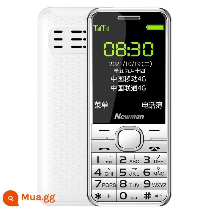 Newman M560C Chính Hãng 4G Full Netcom Phiên Bản Viễn Thông Di Động Nút Thẳng Điện Thoại Dành Cho Nam Và Nữ Người Già Màn Hình Lớn Ký Tự To Âm Thanh Thời Gian Chờ Siêu Lâu Máy Người Già Trẻ Em Học Sinh Phụ Tùng Mini - Trắng