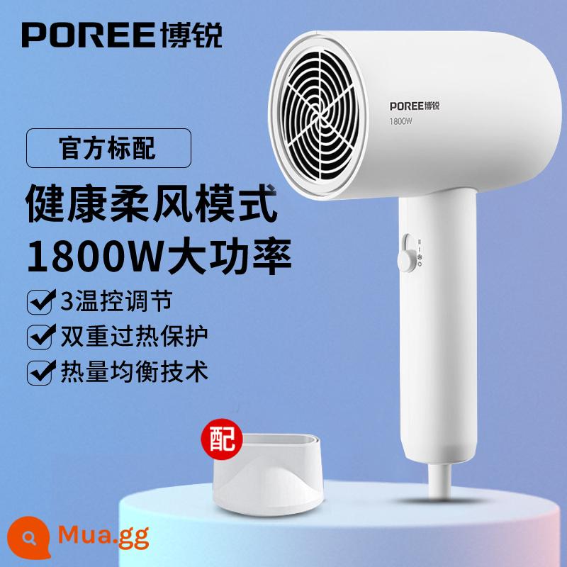 Máy sấy tóc Borui gia đình công suất cao 2000W nhiệt độ không đổi chăm sóc tóc tắt tiếng sấy khô nhanh ký túc xá sinh viên máy sấy tóc - Mô hình ký túc xá gia đình Borui 1621 màu trắng 1800w