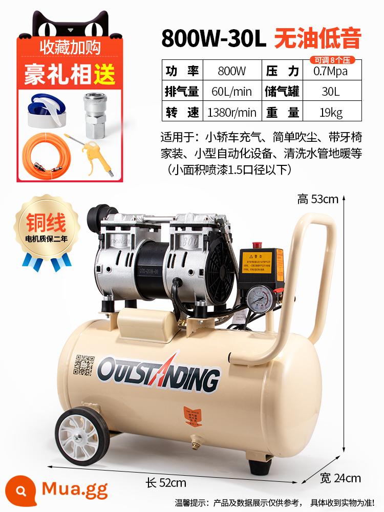 Otus Không Dầu Im Lặng Không Khí 220V Máy Bơm Không Khí Xịt Nhỏ Không Khí Nghề Mộc Trang Trí Máy Bơm Không Khí - Dây đồng 800-30L + van điện từ