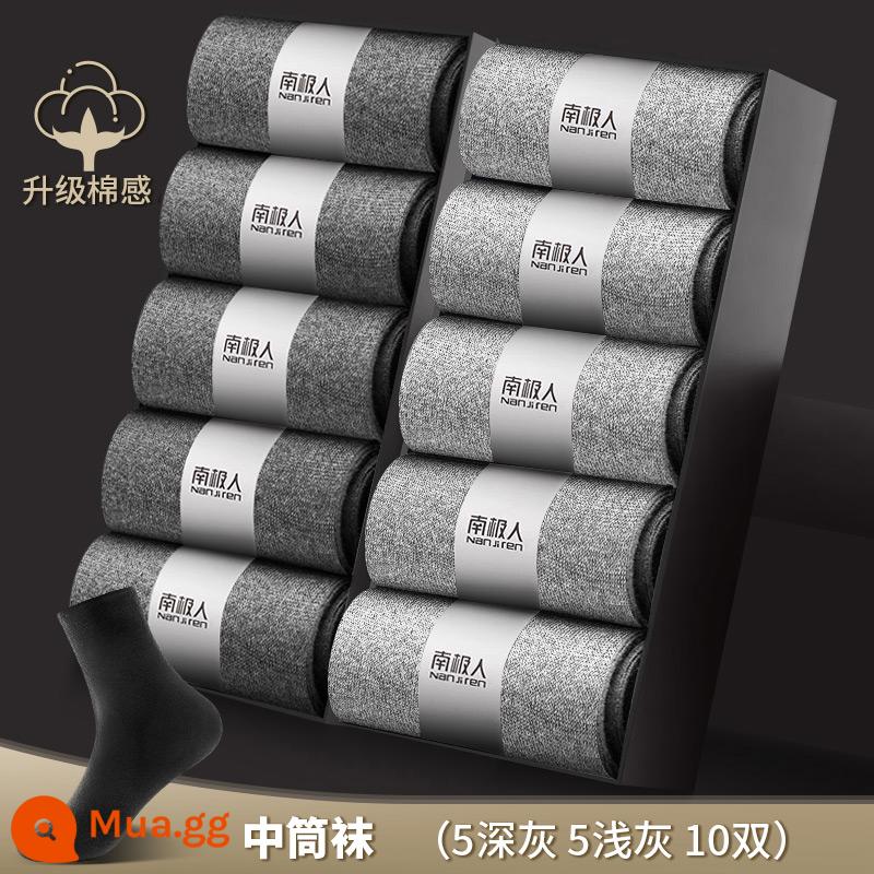 Vớ Nanjiren nam ống giữa cotton nguyên chất khử mùi thấm hút mồ hôi dày ngắn mùa thu đông vớ nam công sở màu đen - 5 sâu 5 cạn [10 đôi]