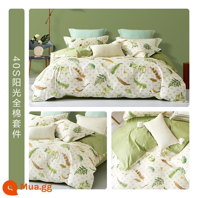 Giường Bellis Bộ 4 Cotton Nguyên Chất 100 Tờ Vỏ Chăn Vỏ Chăn Trang Bị Tấm Bộ Chăn Ga giường Đôi - Xingchunye (100% cotton + mật độ cao 40S + không dễ phai)