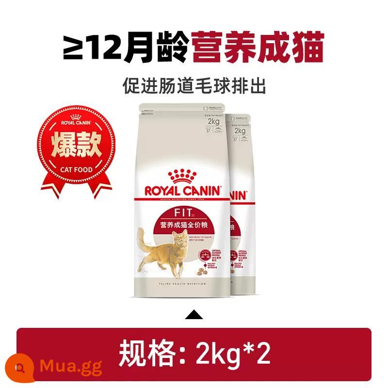 Thức ăn cho mèo hoàng gia F32 Thức ăn dinh dưỡng cho mèo I27 Trong nhà Thức ăn cho mèo giá đầy đủ Thức ăn cho mèo Anh ngắn American Short Muppet Universal Cat House Hộp quà tặng - Thức ăn dinh dưỡng cho mèo ≥12 tháng tuổi F32/2kg*2