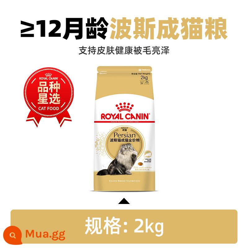 Royal Canin Royal Cat Food Thức ăn cho mèo Ba Tư Chinchilla Exotic Shorthair P30/2KG Cat Staple Food - Thức ăn cho mèo Ba Tư 2kg/P30 dành cho mèo trưởng thành (>12 tháng tuổi)