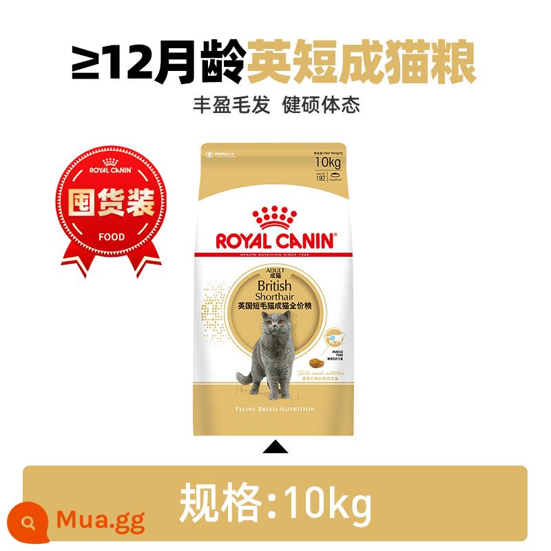 Thức ăn cho mèo Royal Cat British Shorthair Đặc biệt BS34 Thức ăn cho mèo trưởng thành Thức ăn cho mèo con 10kg Blue Cat Vàng và Bạc Chuyển màu Xanh và Trắng Thức ăn chủ yếu giá đầy đủ - Thức ăn cho mèo trưởng thành British Shorthair BS34/10KG (>12 tháng)