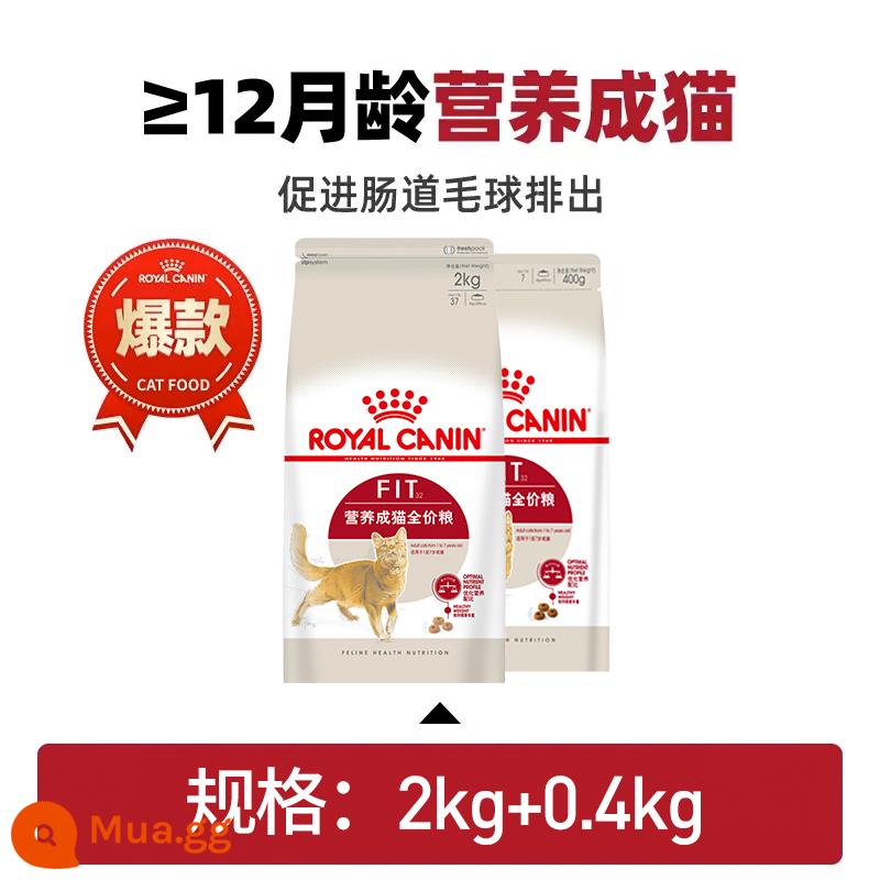 Thức ăn cho mèo hoàng gia F32 Thức ăn dinh dưỡng cho mèo I27 Trong nhà Thức ăn cho mèo giá đầy đủ Thức ăn cho mèo Anh ngắn American Short Muppet Universal Cat House Hộp quà tặng - Thức ăn dinh dưỡng cho mèo trưởng thành ≥12 tháng tuổi F32/2.4KG (2KG+0.4KG)