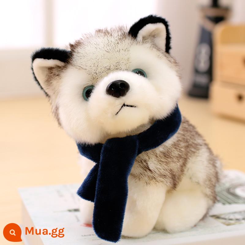 Husky Sang Trọng Đồ Chơi Chó Búp Bê Mô Phỏng Chó Con Erha Búp Bê Nhỏ Bé Gái Món Quà Sinh Nhật Cho Bé Gái - Khăn quàng xanh Q Husky