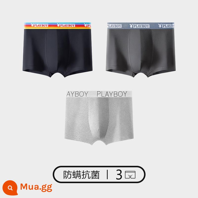 Quần lót Playboy bé trai cotton nguyên chất 100% cotton quần boxer nam quần boxer nam quần an toàn mùa thu đông - Bộ 3 [đai phối màu] [kháng khuẩn và chống mạt] đen + xám đậm + xám nhạt