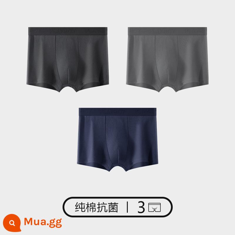 Quần lót Playboy bé trai cotton nguyên chất 100% cotton quần boxer nam quần boxer nam quần an toàn mùa thu đông - 3 gói [cotton nguyên chất kháng khuẩn] [bao bì độc lập được nâng cấp] đen + xám đậm + xanh nước biển