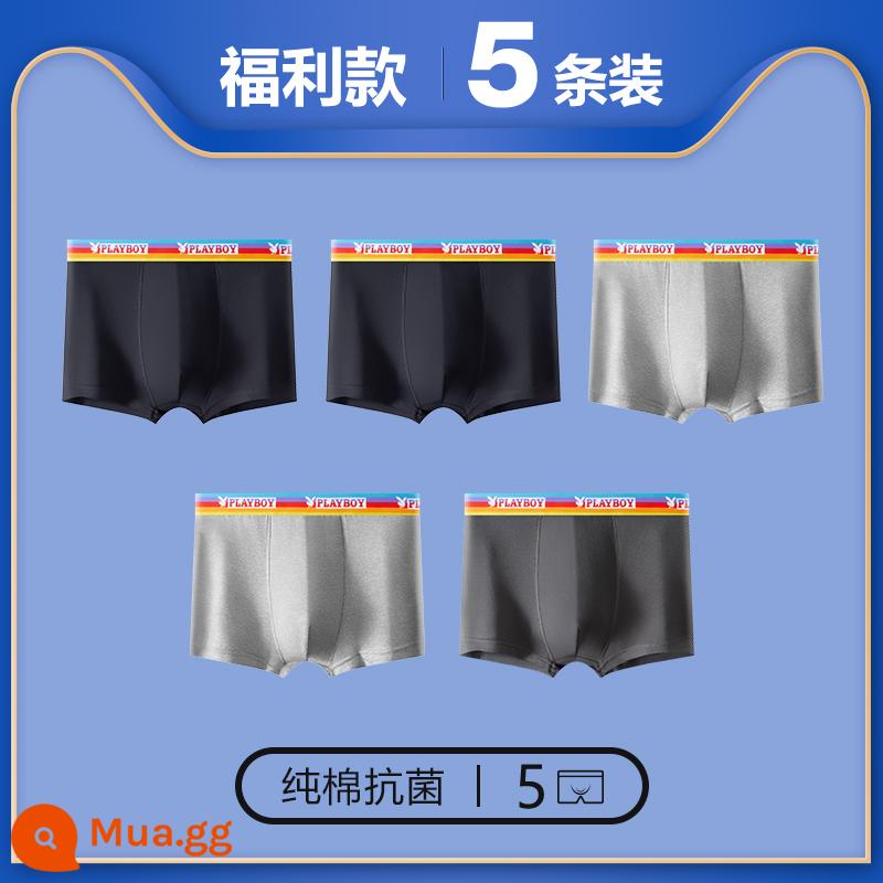 Quần lót Playboy bé trai cotton nguyên chất 100% cotton quần boxer nam quần boxer nam quần an toàn mùa thu đông - 5 gói [Thắt lưng màu★Kháng khuẩn và chống ve bét] Đen★2 Xám nhạt★2 Xám đậm★1