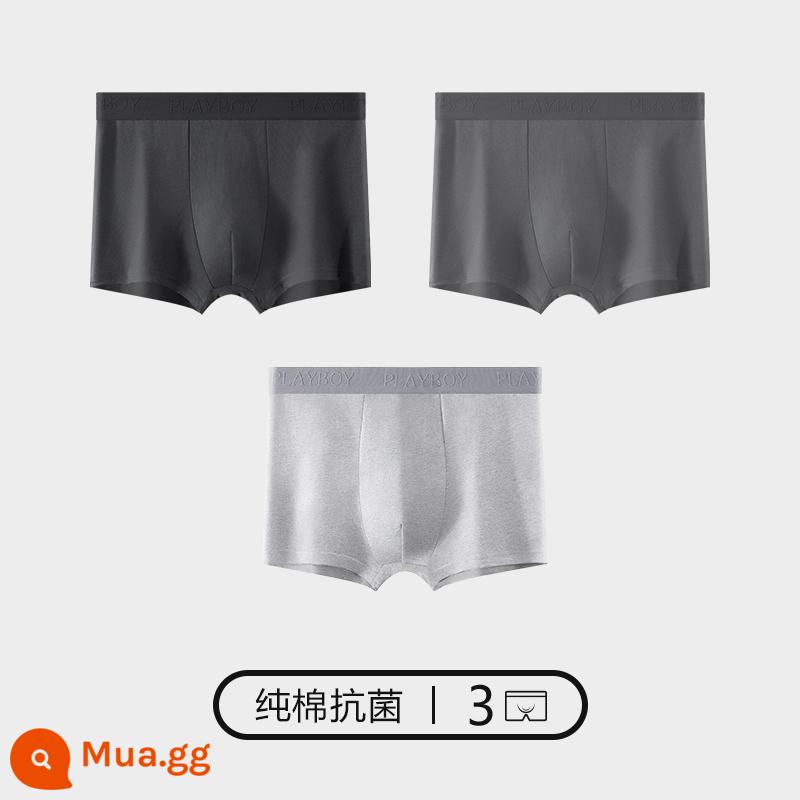 Quần lót Playboy bé trai cotton nguyên chất 100% cotton quần boxer nam quần boxer nam quần an toàn mùa thu đông - 3 gói [cotton nguyên chất kháng khuẩn] [bao bì độc lập được nâng cấp] đen + xám đậm + xám nhạt