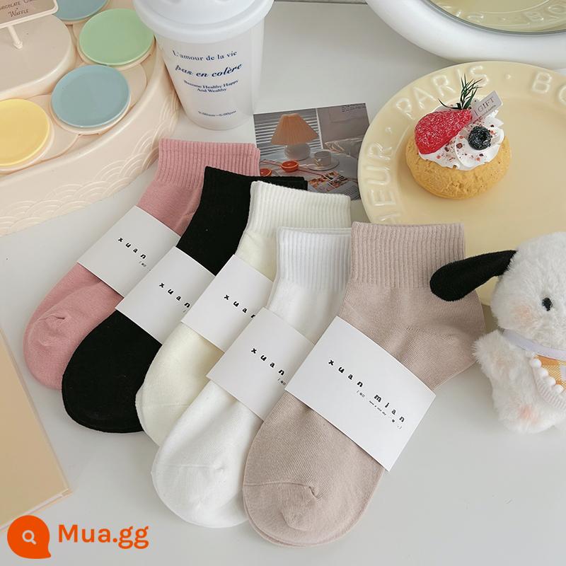 Vớ ống ngắn màu trơn mùa hè dành cho nữ cotton nguyên chất phần mỏng Sinh viên Nhật Bản thể thao màu vớ ngắn thể thao mùa xuân và mùa thu vớ ống giữa - Kem hồng-đen-trắng nữ tính