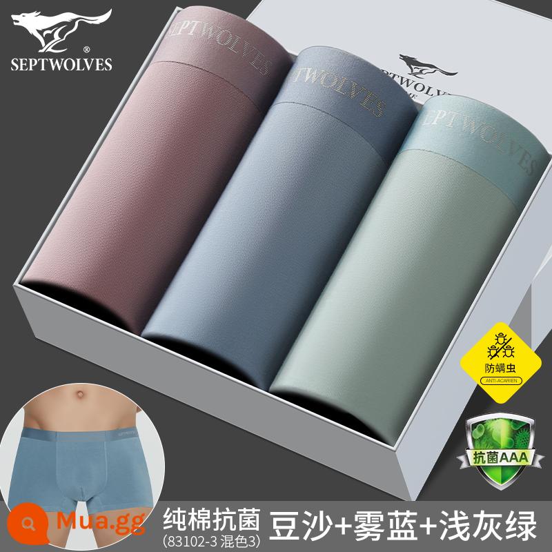 Septwolves Quần Lót Nam Cotton Boxer Quần Short Bé Trai Size Lớn Kháng Khuẩn Thoáng Khí Quần Short Bé Trai Đầu Boxer - Cotton nguyên chất kháng khuẩn và chống mạt H3 (bột đậu + xanh xám nhạt + xanh sương mù)