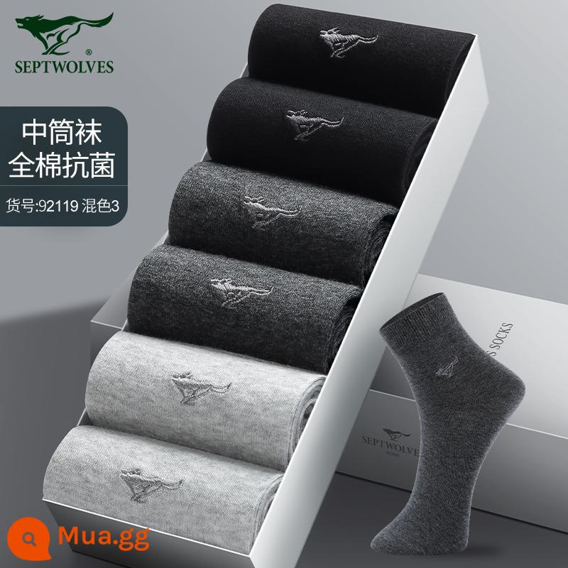 Tất Septwolves nam cotton nguyên chất xuân hè hút mồ hôi khử mùi 100% cotton nam ống giữa tất mùa đông tất nam - [100% cotton kháng khuẩn và khử mùi] xám nhạt 2+xám đậm 2+đen 2