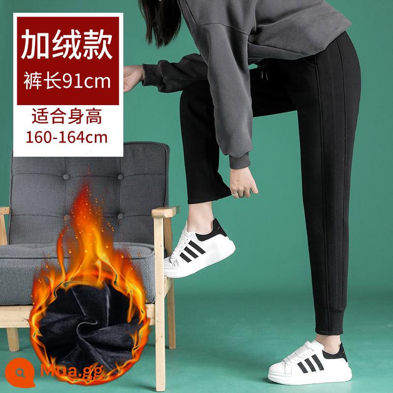 Nữ Lông Cừu Dày Dài Thấm Hút Mồ Hôi Cho Mùa Đông Lambswool Ấm Slim Slim Rời Rời Chân Áo Khoác Ngoài Màu Xám Dài Thấm Hút Mồ Hôi Cho Nam - Nhung - đen - dài quần 91cm (chiều cao khuyến nghị 160-164)