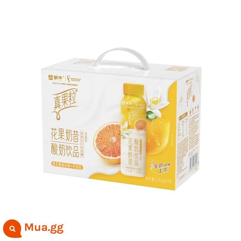 [Khuyến nghị] Date Fresh Mengniu Pure Milk/Xinyangdao/Sữa ăn sáng/Zhenguo Li/Future Star - Bưởi hoa cam quả thật