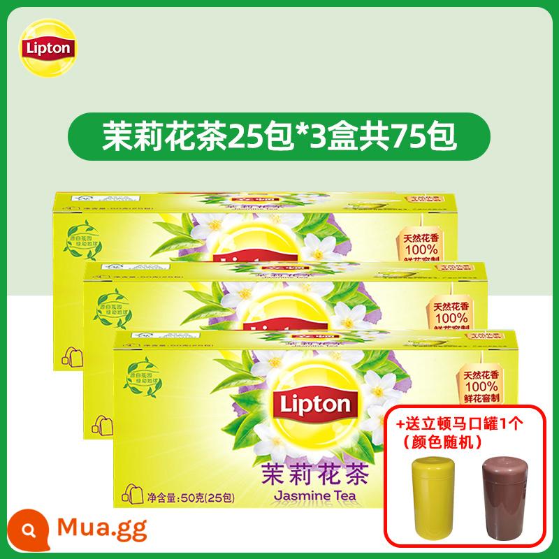 Trà đen Lipton thẻ vàng 25 gói lá trà xanh ủ trà lài Trà Lipton túi lọc trà thảo mộc trà túi lọc nước - Trà lài 25 túi * 3 hộp + 1 lon lipton (màu ngẫu nhiên)