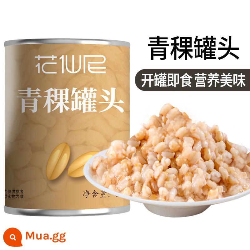 Bột yến mạch đường phèn Huaxian Ni lon 900g cửa hàng trà sữa ăn liền tráng miệng đậu đỏ đóng hộp đặc biệt - Lúa mạch cao nguyên đóng hộp