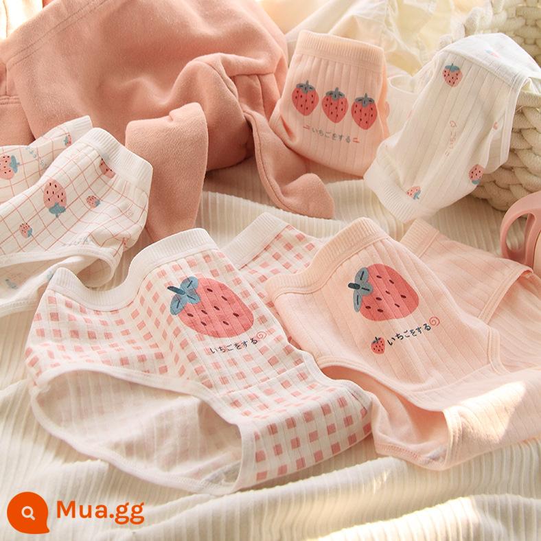 100% Cotton Bé Gái Quần Sịp Cotton Trẻ Em Quần Sịp Cotton Quần Bé Gái Trẻ Trung Và Lớn 12 Tuổi - 5 quả dâu tây hồng ba