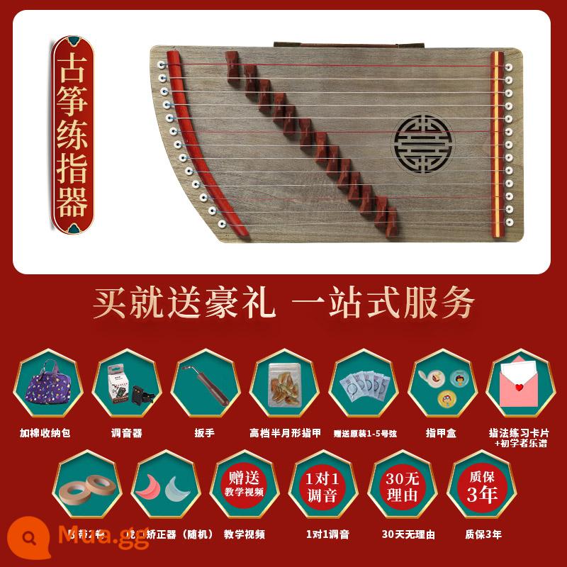 Thiết bị luyện ngón Guzheng 21 dây xách tay chuyên nghiệp luyện tập ngón đàn hiện vật cho người mới bắt đầu nhạc cụ mini guzheng nhỏ - Mẫu đàn tam thập lục nhỏ 13 dây (cấu hình sang trọng)