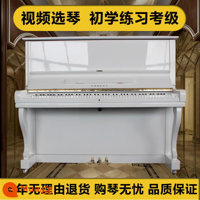 Đàn piano cũ nhập khẩu chính hãng Hàn Quốc Yingchang U3 xuất khẩu FU55 dành cho người lớn hộ gia đình mới bắt đầu kiểm tra chứng nhận đàn piano thẳng đứng - xuất khẩu trắng yingchang